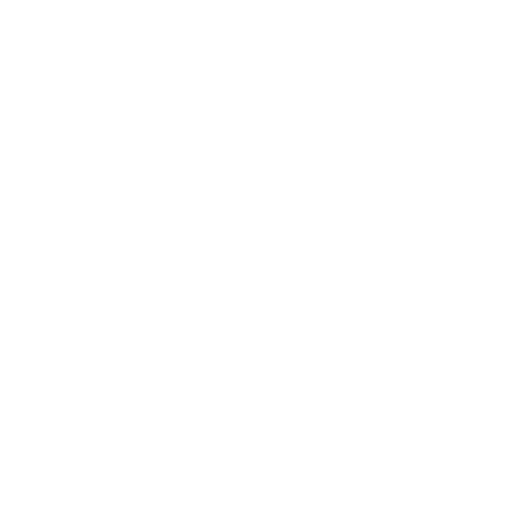 Boss