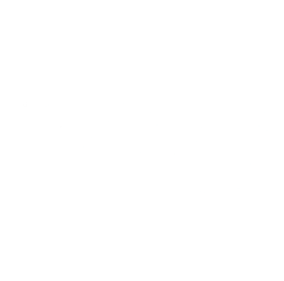 Boss